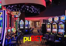 Security Systems pubet