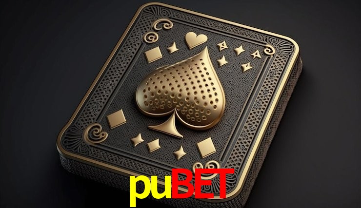 Experiência VIP pubet
